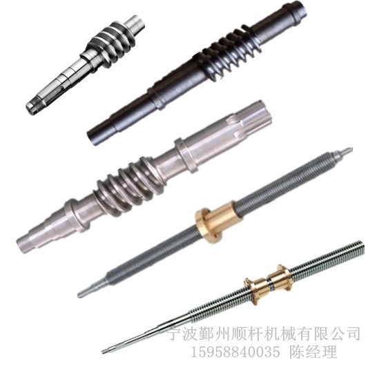 SGA聯動（dòng）升降機20絲（sī）杆SWL10 提升器配件定做